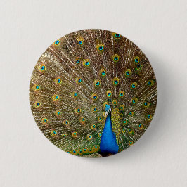 Peacock Tail Feathers Ronde Button 5,7 Cm