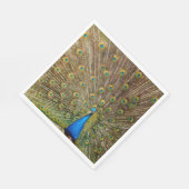 Peacock Tail Feathers Servet (Hoek)