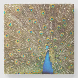 Peacock Tail Feathers Stenen Onderzetter