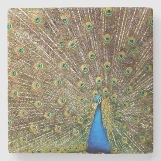 Peacock Tail Feathers Stenen Onderzetter (Voorkant)