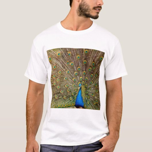 Peacock Tail Feathers T-shirt (Voorkant)