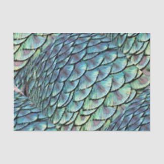 Peacock Tail Feathers Tissuepapier