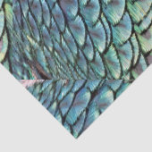 Peacock Tail Feathers Tissuepapier (Detail)