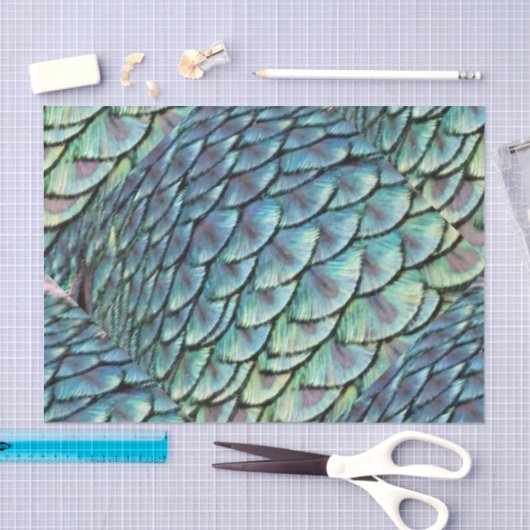 Peacock Tail Feathers Tissuepapier (Craft)