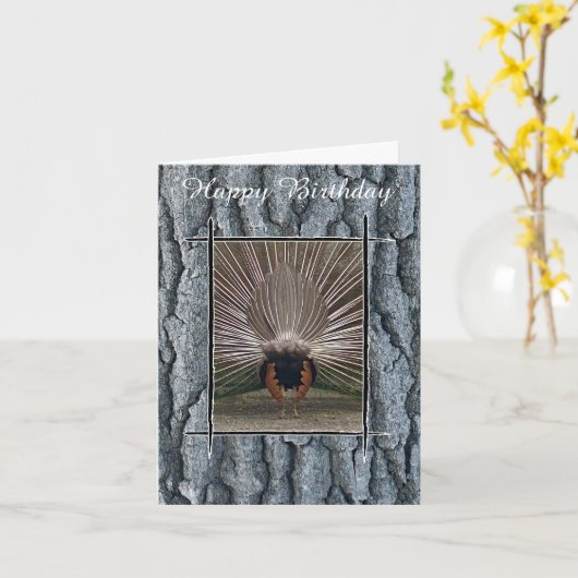 PEACOCK TAIL TREE BARK HAPPY BIRTHDAY KAART (Gele Bloem)