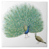  Peacock Tegeltje (Voorkant)