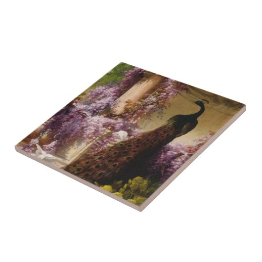  Peacock Tegeltje (Zijkant)