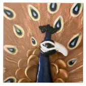 Peacock Tegeltje (Voorkant)