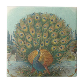 Peacock Tegeltje