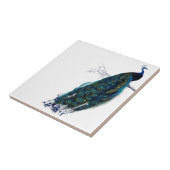  Peacock Tegeltje (Zijkant)