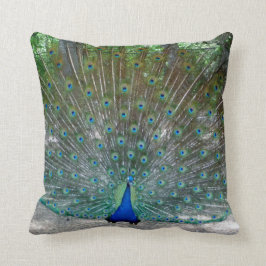 Peacock Throw kussen