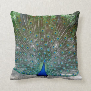 Peacock Throw kussen