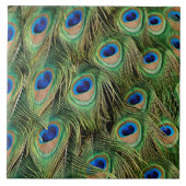 Peacock Tile Tegeltje (Voorkant)