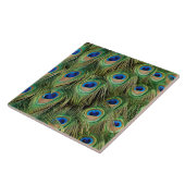 Peacock Tile Tegeltje (Zijkant)