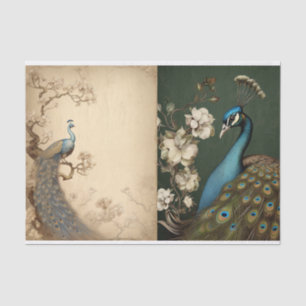 Peacock Tissue Page Tissuepapier