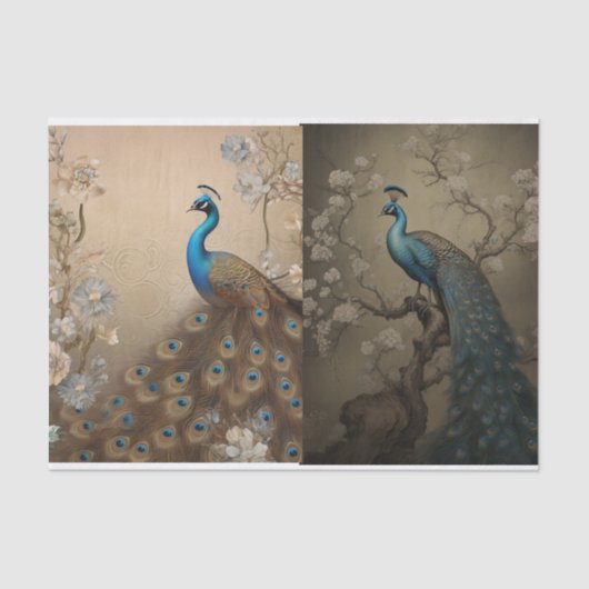 Peacock Tissue Page Tissuepapier (Voorkant)