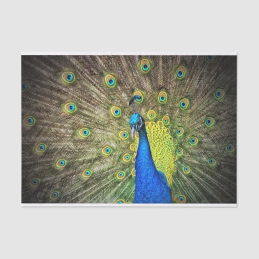 Peacock Tissuepapier (Voorkant)