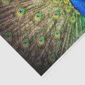 Peacock Tissuepapier (Detail)