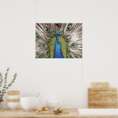 Peacock toont bezoekers poster (Keuken)