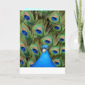 Peacock Trouwprogramma Kaart (Achterkant)