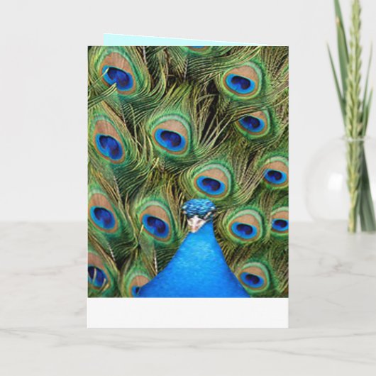 Peacock Trouwprogramma Kaart (Achterkant)