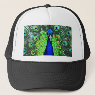 Peacock Trucker Pet