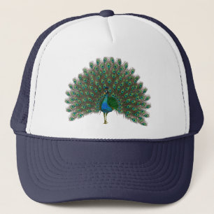 Peacock Trucker Pet