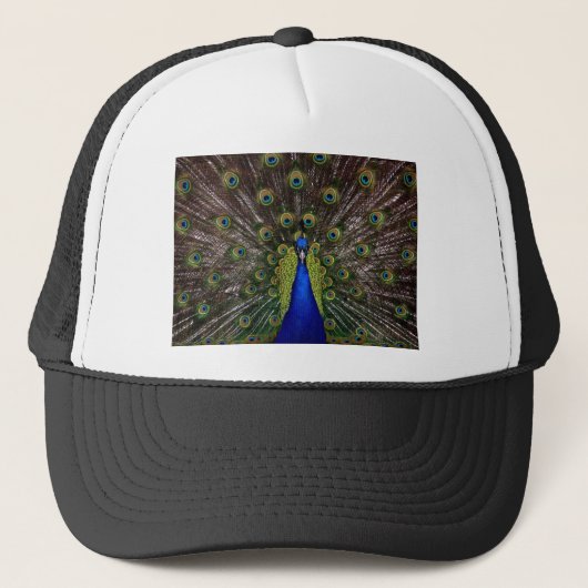 Peacock Trucker Pet (Voorkant)