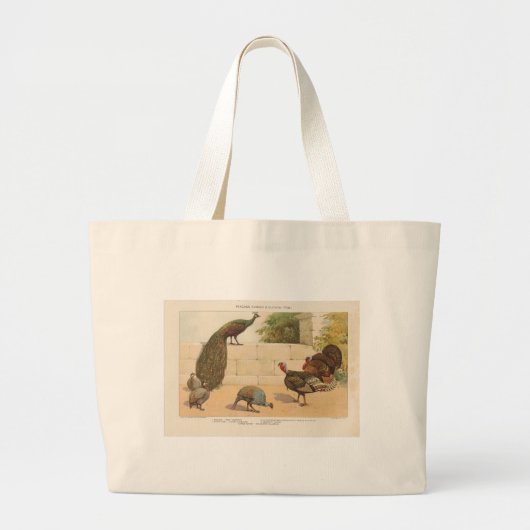 Peacock, Turkije, Guinee-Bissau Grote Tote Bag (Voorkant)