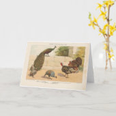 Peacock, Turkije, Guinee-Bissau Kaart (Gele Bloem)