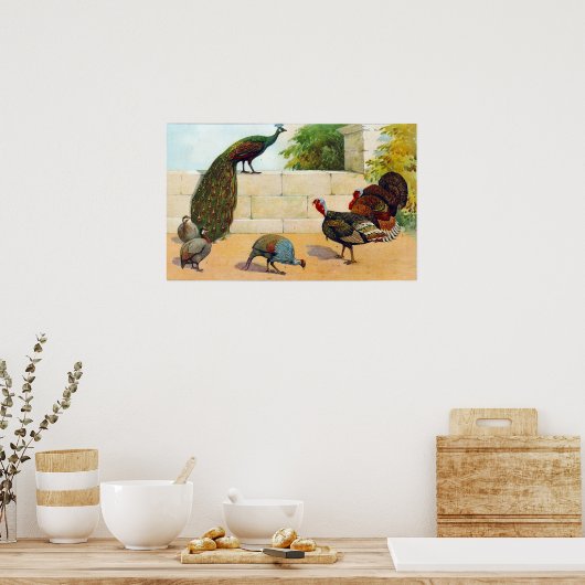 Peacock, Turkije, Guinee Poster (Keuken)