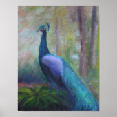 PEACOCK UIT DE STICHTING VAN HET JEUGD Poster (Voorkant)