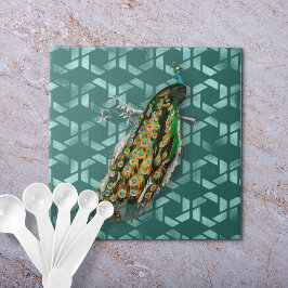 Peacock van D'Orbigny Tegeltje