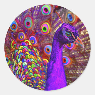 Peacock van een miljoen kleuren ronde sticker
