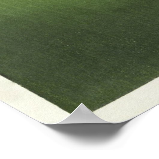 Peacock van Ohara Koson  Print Poster (Hoek)