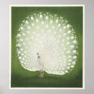 Peacock van Ohara Koson Print Poster