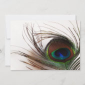 Peacock Veer Glamour Bruiloft Jubileum Kaart (Achterkant)