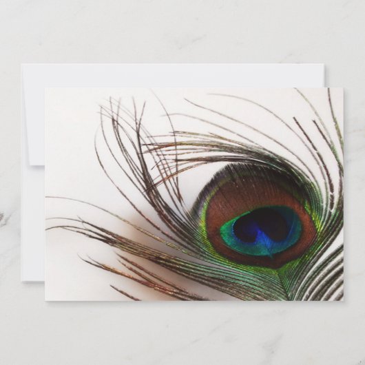 Peacock Veer Glamour Bruiloft Jubileum Kaart (Achterkant)