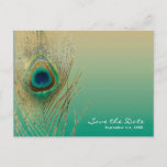 Peacock Veer Zand en Blauwgroen Boho sparen de Dat Aankondigingskaart<br><div class="desc">Peacock Veer Zand en Blauwgroen Boho sparen het Briefkaart van de Datum. Gepersonaliseerd voor elke gebeurtenis.</div>