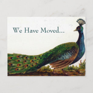 Peacock verandering van adres Briefkaarten