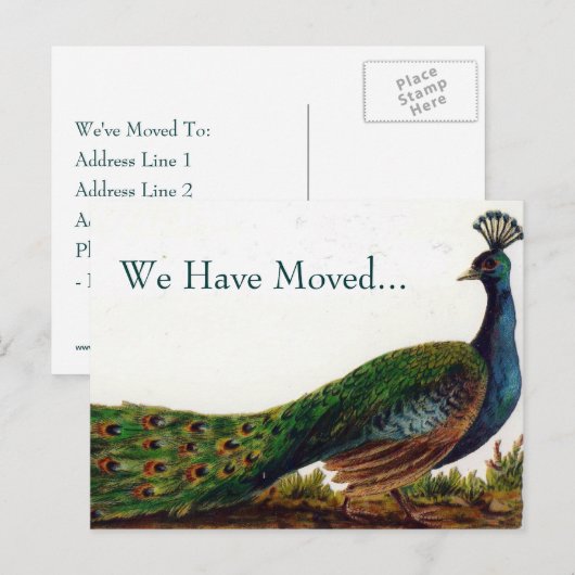  Peacock verandering van adres Briefkaarten (Voorkant / Achterkant)