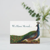  Peacock verandering van adres Briefkaarten (Staand voorkant)