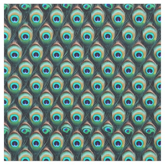 Peacock veren - 2 stof (Close Up)