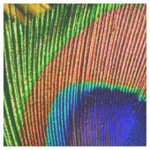 Peacock-veren 6B Aangepast Stof (Close Up)