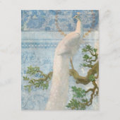  Peacock-veren Blauw wit script - Gegevens Informatiekaartje (Achterkant)