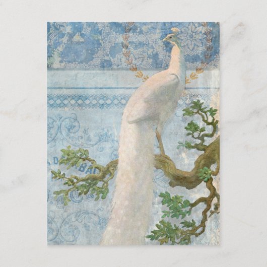  Peacock-veren Blauw wit script - Gegevens Informatiekaartje (Achterkant)