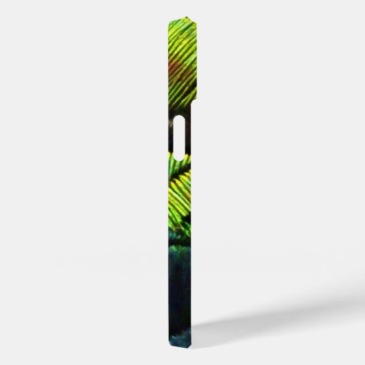 Peacock veren close-up aqua iphone case (Achterkant / Rechts)