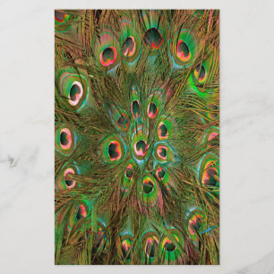 Peacock veren groene achtergrond briefpapier