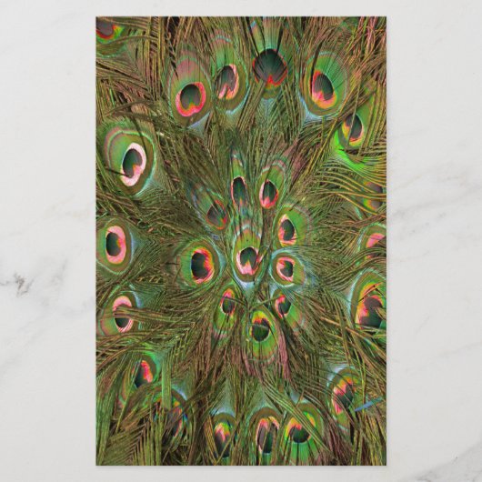 Peacock veren groene achtergrond briefpapier (Voorkant)