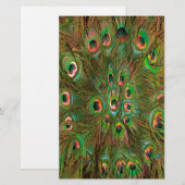 Peacock veren groene achtergrond briefpapier (Voorkant / Achterkant)
